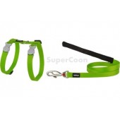 Red Dingo Cat Harness And Lead - Lime Green